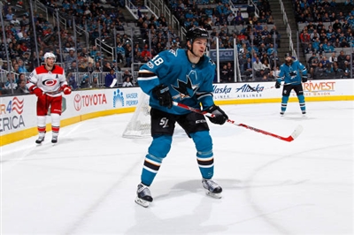 Tomas Hertl Poster 3563610