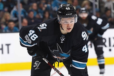 Tomas Hertl Poster 3563611