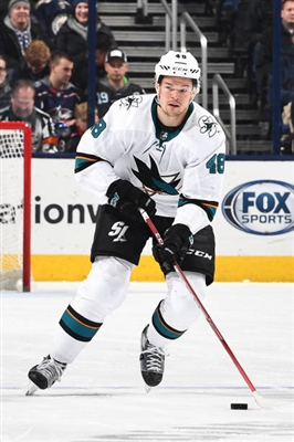 Tomas Hertl Poster 3563612