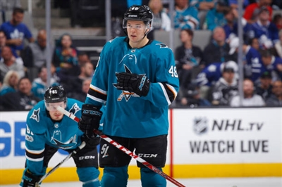 Tomas Hertl Poster 3563614