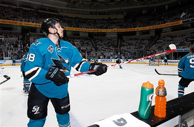 Tomas Hertl Poster 3563625