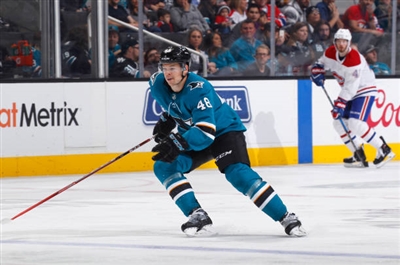 Tomas Hertl Poster 3563629