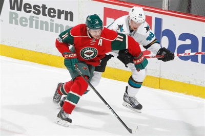 Tomas Hertl Poster 3563630