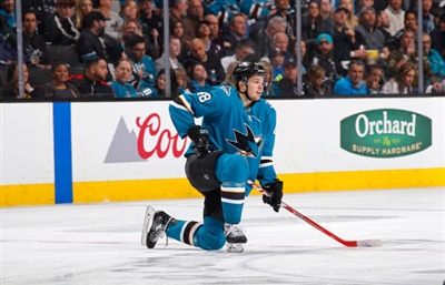 Tomas Hertl Poster 3563635