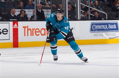 Tomas Hertl Poster 3563636