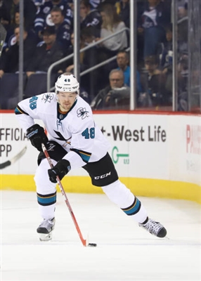 Tomas Hertl Poster 3563639