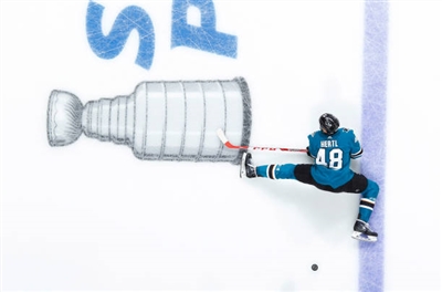 Tomas Hertl Poster 3563641