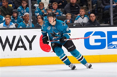 Tomas Hertl Poster 3563642