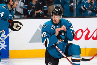 Tomas Hertl Poster 3563644