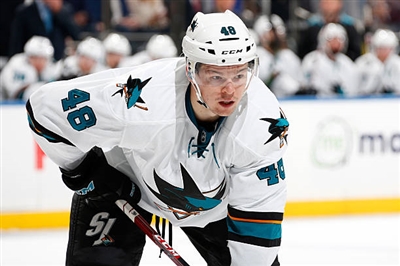 Tomas Hertl Poster 3563646