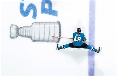 Tomas Hertl Poster 3563647
