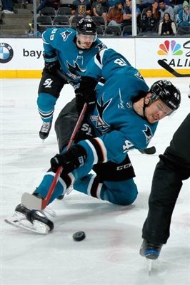 Tomas Hertl Poster 3563653