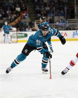 Tomas Hertl Poster 3563657