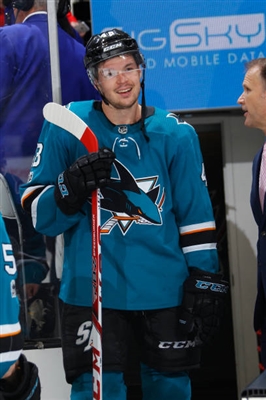 Tomas Hertl Poster 3563658
