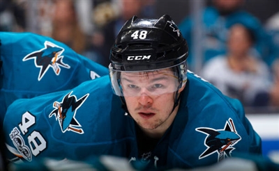 Tomas Hertl Poster 3563675