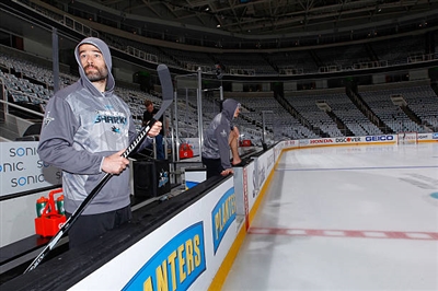 Tomas Hertl Poster 3563679