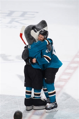 Tomas Hertl Poster 3563680