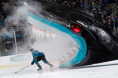 Tomas Hertl Poster 3563687