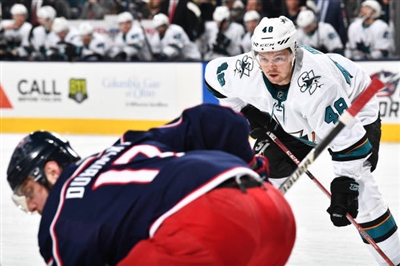 Tomas Hertl Poster 3563688