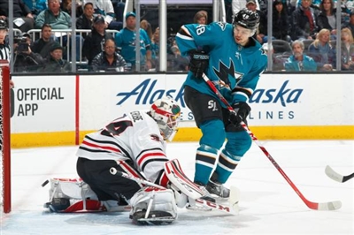 Tomas Hertl Poster 3563689