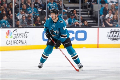 Tomas Hertl Poster 3563691