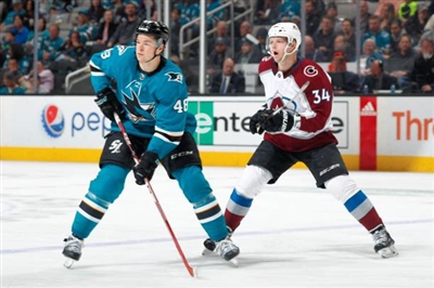 Tomas Hertl Poster 3563696