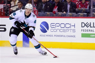 Tomas Hertl Poster 3563697
