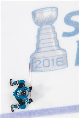 Tomas Hertl Poster 3563704