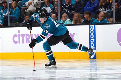 Tomas Hertl Poster 3563709