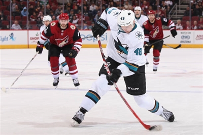 Tomas Hertl Poster 3563714