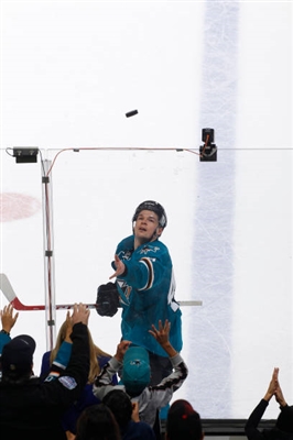 Tomas Hertl Poster 3563723