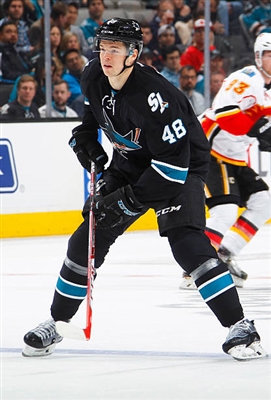 Tomas Hertl Poster 3563725