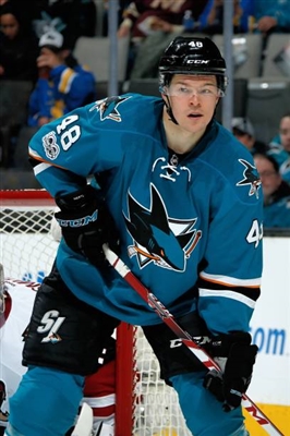 Tomas Hertl Poster 3563726