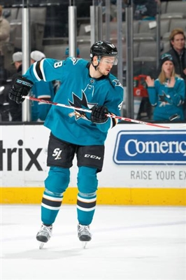 Tomas Hertl Poster 3563769