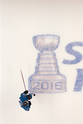 Tomas Hertl Poster 3563770