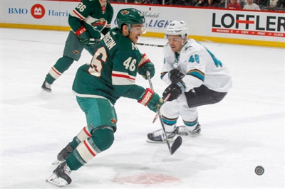 Tomas Hertl Poster 3563776