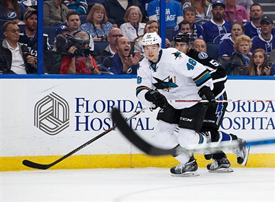 Tomas Hertl Poster 3563789
