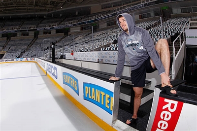 Tomas Hertl Poster 3563792