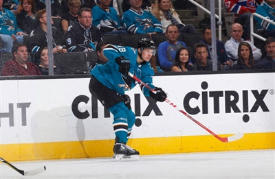 Tomas Hertl Poster 3563797