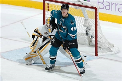 Tomas Hertl Poster 3563802