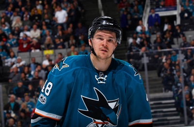 Tomas Hertl Poster 3563803