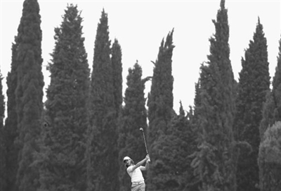 Tommy Fleetwood Poster 3485167