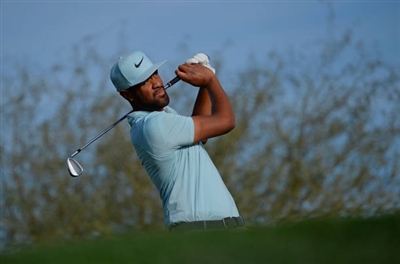 Tony Finau Poster 3492261