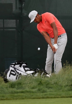 Tony Finau Poster 3492272