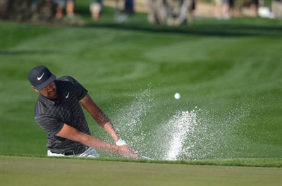 Tony Finau Poster 3492346