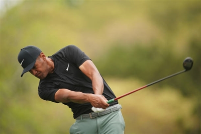 Tony Finau Poster 3492451