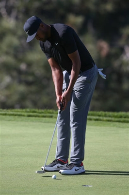 Tony Finau Poster 3492455