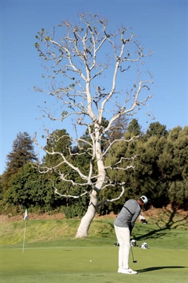 Tony Finau Poster 3492533