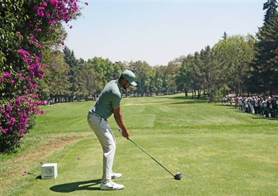 Tony Finau Poster 3492538