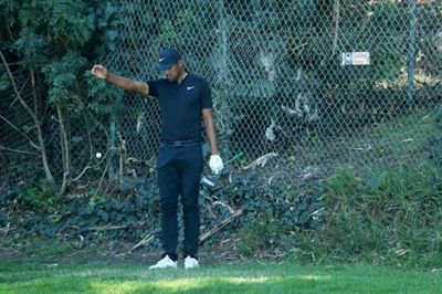 Tony Finau Poster 3492543